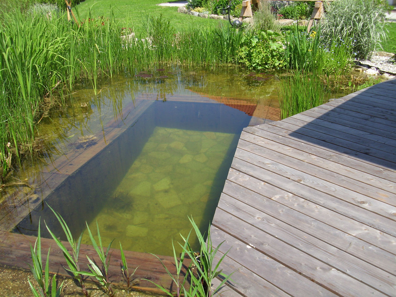Szauna merülő biomedence Gars Bahnhof - Bio fürdőtó