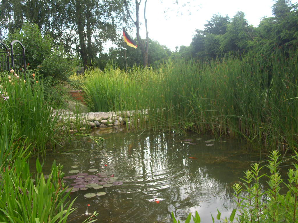 Bioszennyvíztisztító Gitzen - Biológiai szennyvíztisztítás