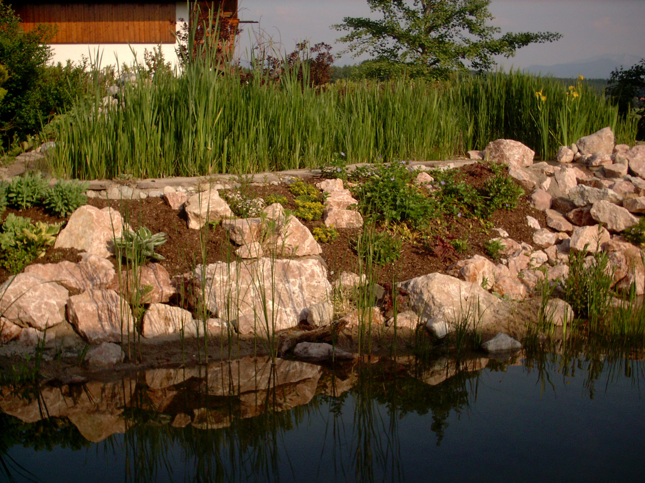 Biófürdőtó Sondermoning - Bio fürdőtó